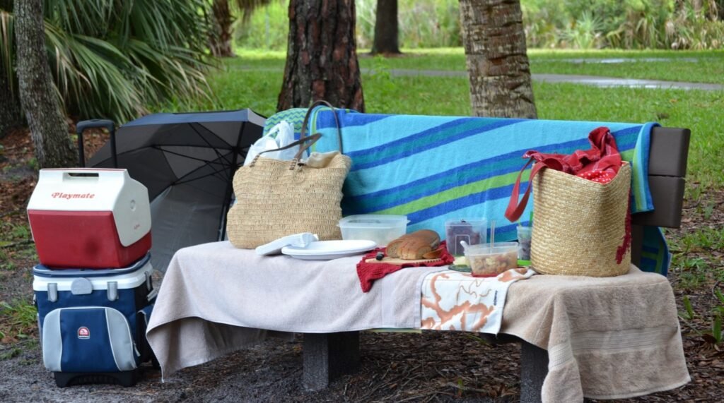 Picnic and Travel Foods