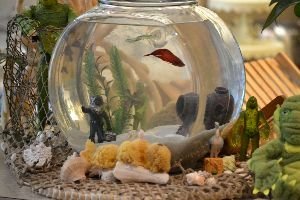 tassos-cool-pad_small