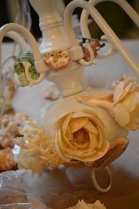 my shell roses are the main feature_small