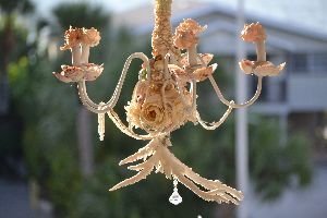 sunny chandelier_small