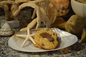 barefootcookies for Santa_small