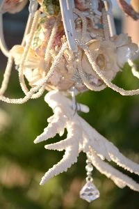 coral and crystal_small