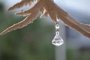 coral with crystal_small