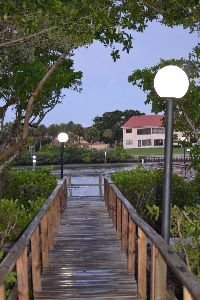 A lovely night._small