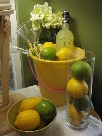 Lemons and Limes_small