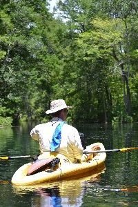 Gordon at Silver Springs_small