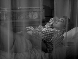 Julie Adams TCFTBL_small