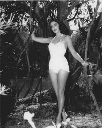 Julie Adams mangroves_small