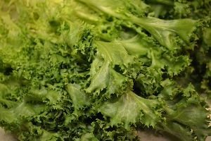 a beautiful bed of greens_small