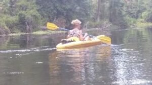 alligators are in this swamp_small