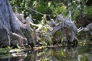 background option 10_small