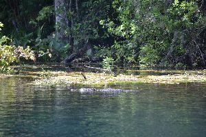 background option 2_small