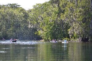 background option_small