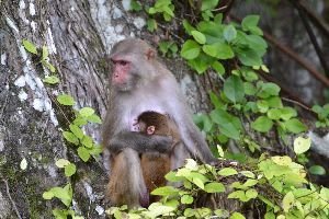 beautiful mother and child_small