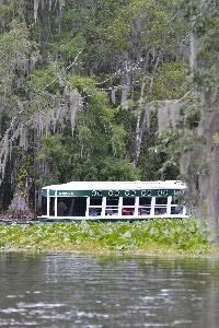 glass bottom boat_small