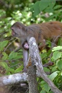 mommy and baby_small