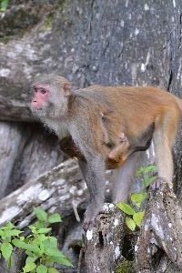 mother and baby_small