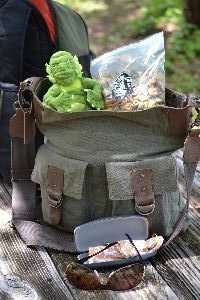 my swamp mix to munch on_small