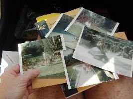 old photographs of my first trip to Silver Springs_small
