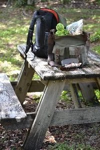 picnic table_small
