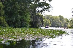 venturing out into the springs_small