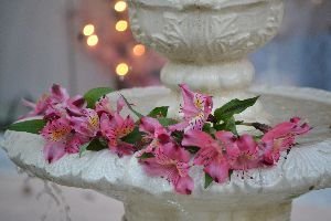fountain flowers_small
