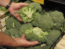 Broccoli without the stalk_small