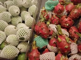 Dragonfruit_small