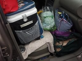 Publix shopping_small