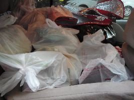 backseat of our car_small