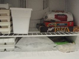 freezer-food_small