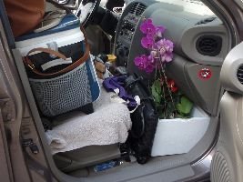 passengers-seat_small