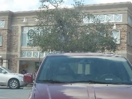 running-in-publix_small