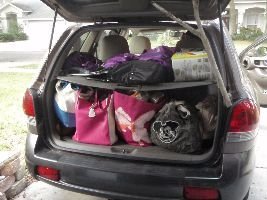 trunk-of-car_small