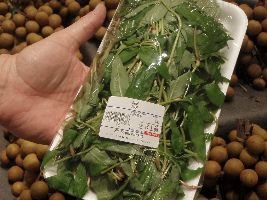 what is bam bam_small