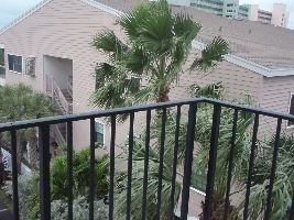 you-can-see-how-windy-it-is_small