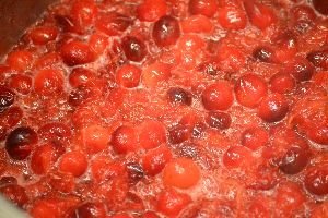 Cranberry Sauce for Christmas_small