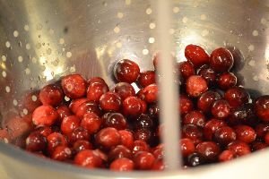 gordon-rinsing-the-cranberrys_small