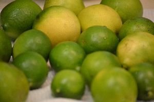 our-key-limes-from-our-tree_small