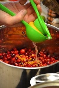 the juice of naval oranges_small