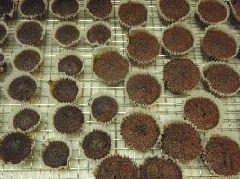 P4060431_small P4060431_small