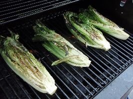 P8180603_small P8180603_small