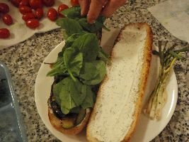 P9300185_small P9300185_small