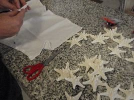 PC100733_small PC100733_small