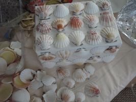 PC110023_small PC110023_small