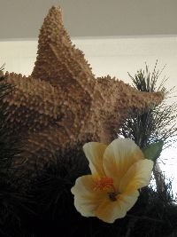 PC150133_small PC150133_small