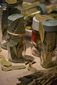 Bay Leaves_small
