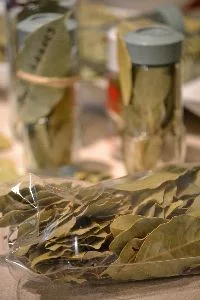 beautiful bay leaves_small
