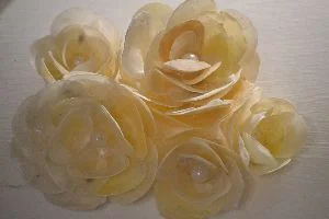 my seashell roses_small