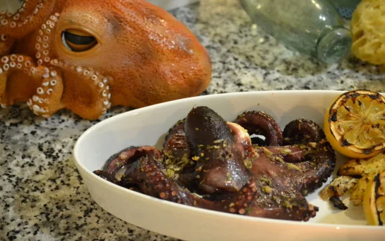 Greek Octopus Greek Octopus